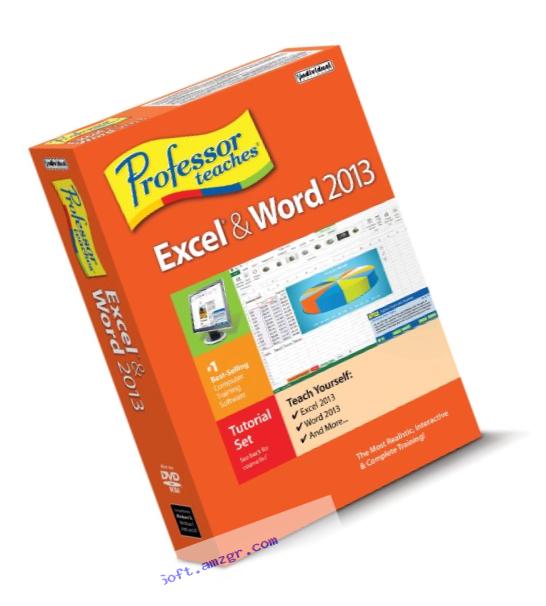 Professor Teaches Excel and Word 2013